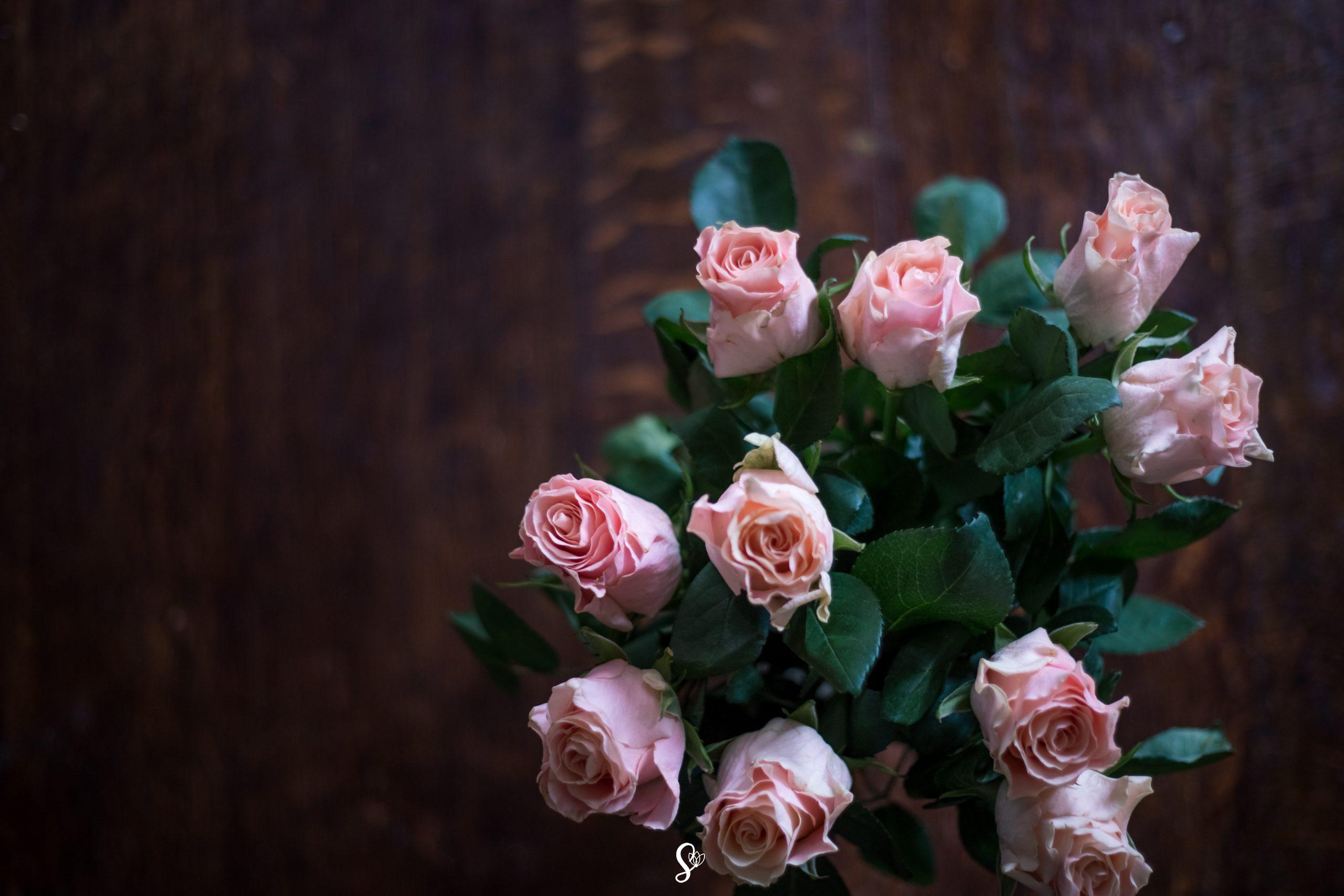 Floristerias en Bucaramanga