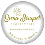 cropped-siena_logo.png